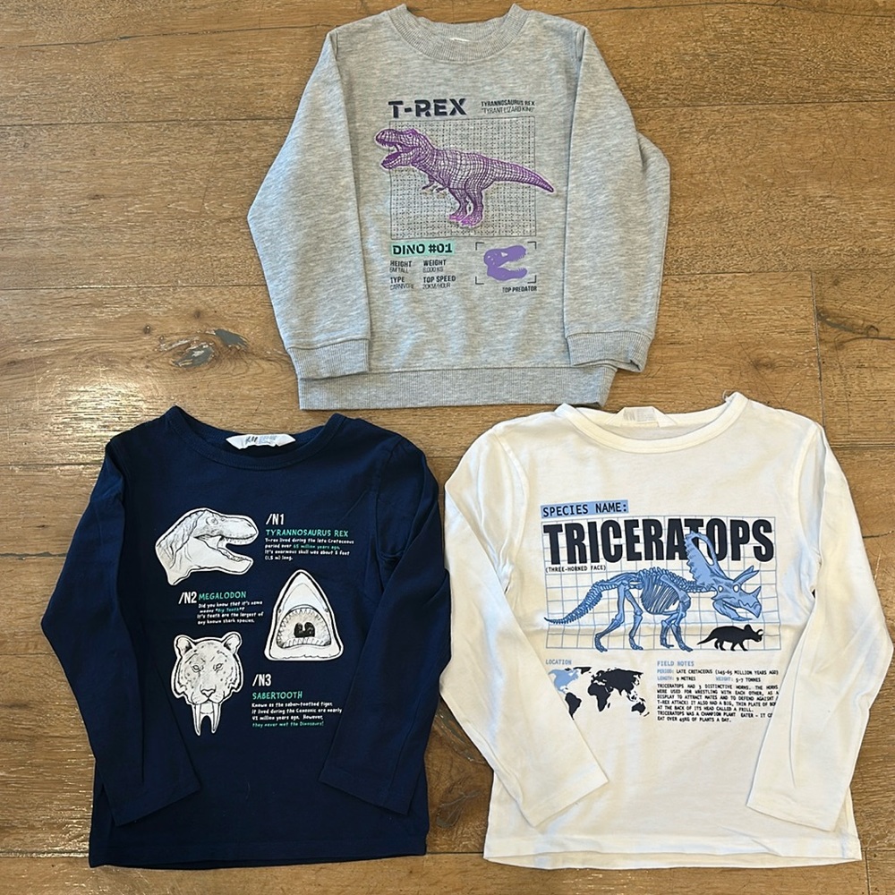 H&M Set of 3 Boys Dinosaur Tops 1/Sweat-Shirt 1/ Long Sleeve Tee-Shirts Size 4-6